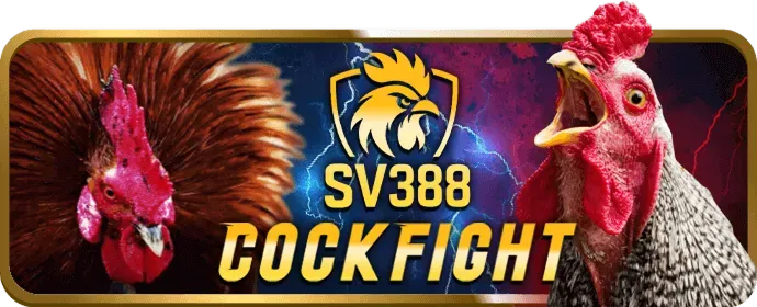 Thưởng Sinh Nhật & VIP Độc Quyền